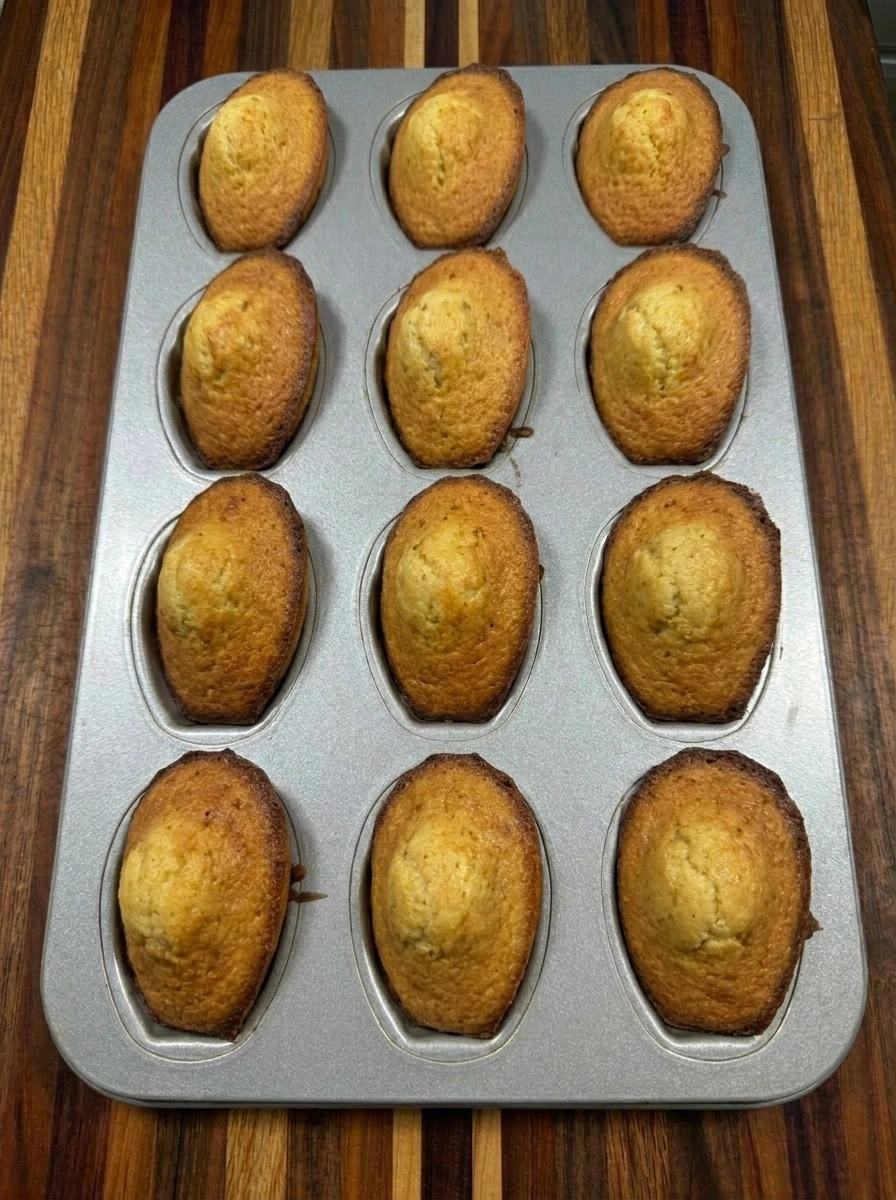 Twelve baked madeleines with rounded centers and golden edges
